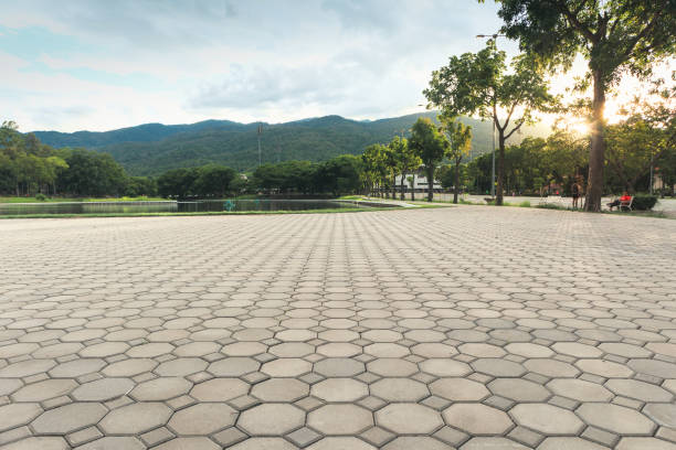 Best Commercial Driveway Pavers  in Alamo, TN